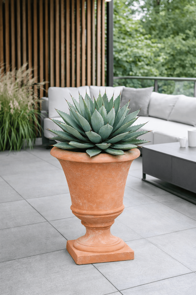 Pokal classique en terre cuite d’Impruneta – Pot de fleurs intemporel